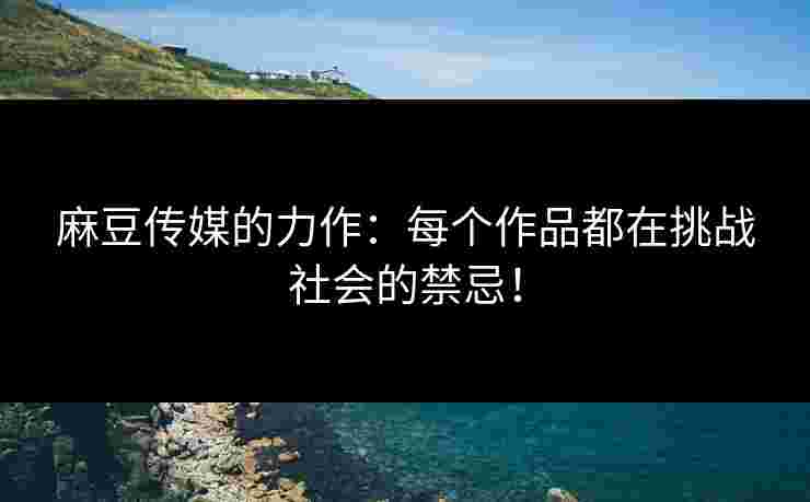 麻豆传媒的力作：每个作品都在挑战社会的禁忌！