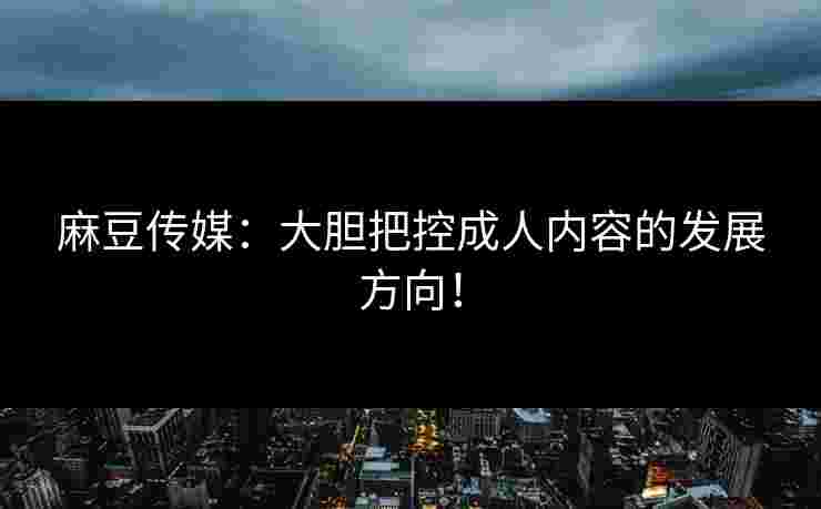 麻豆传媒：大胆把控成人内容的发展方向！