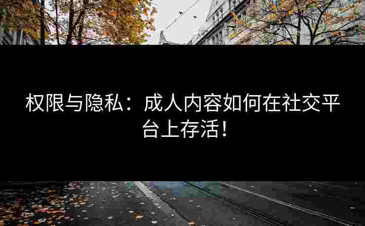 权限与隐私：成人内容如何在社交平台上存活！